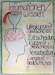 Vokabeln richtig lernen, unser Gedächtnis. Tipps von der lernfabriQ Kempten. Nachhilfe und Prüfungsvorbereitung. Ausschnitt.